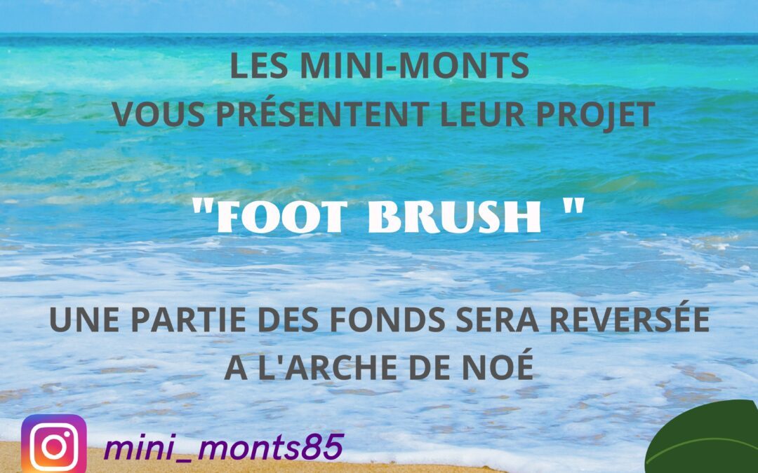 la FOOT BRUSH !